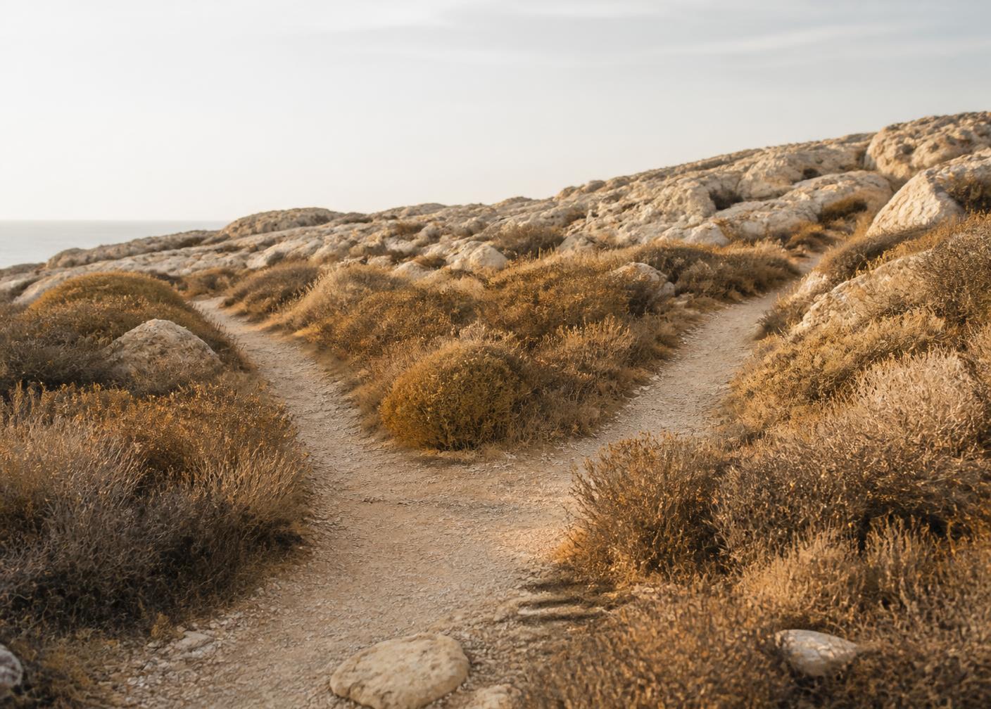 Chemin qui se sépare en deux dans la garrigue méditerranéenne